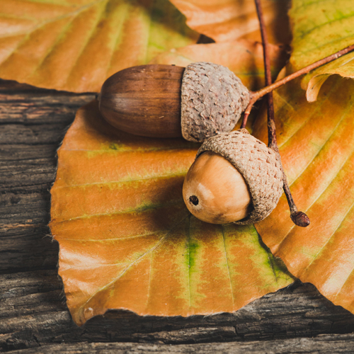 サックス 楽譜 01