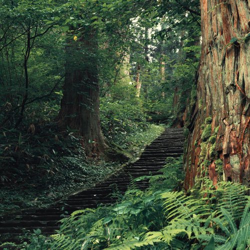 サックス 楽譜 01